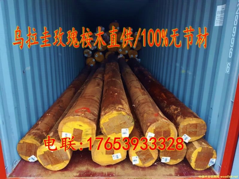 �����M(j��n)�ڟo��(ji��)��õ����ľԭľ��Ԕ��(x��)��B