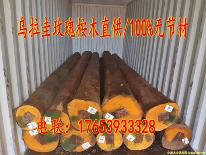 �M(j��n)�ڞ�������ľԭľ/�o�Y(ji��)��(ji��)��Ԕ��(x��)��B