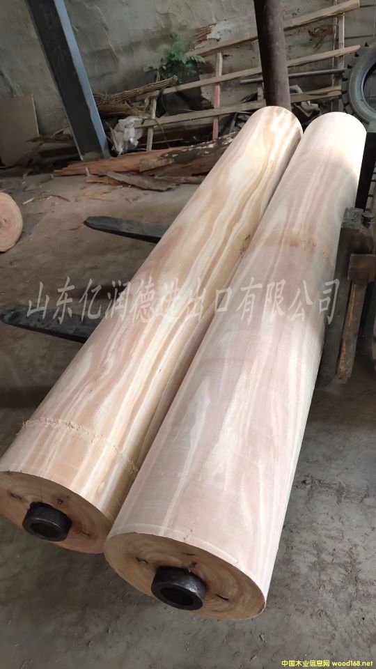 �����M(j��n)����֦��õ����ľԭľ��Ԕ��(x��)��B