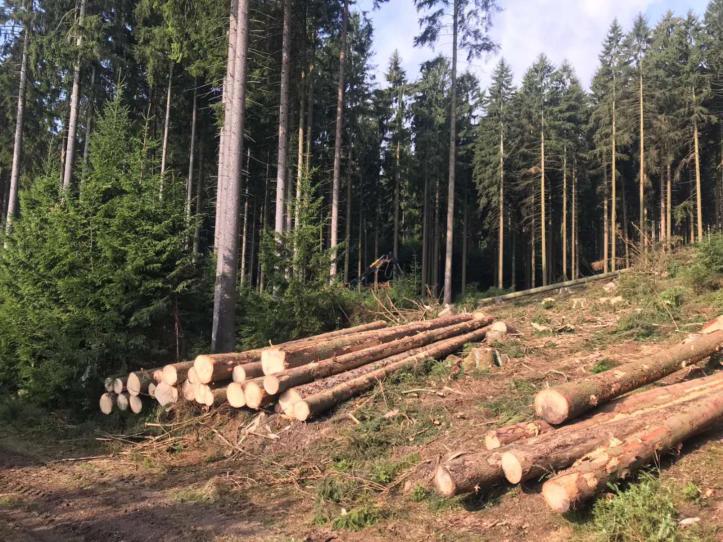 ��(gu��)��ɼ