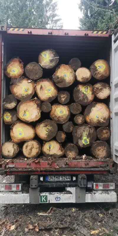 ����ɼ��Ԕ����B