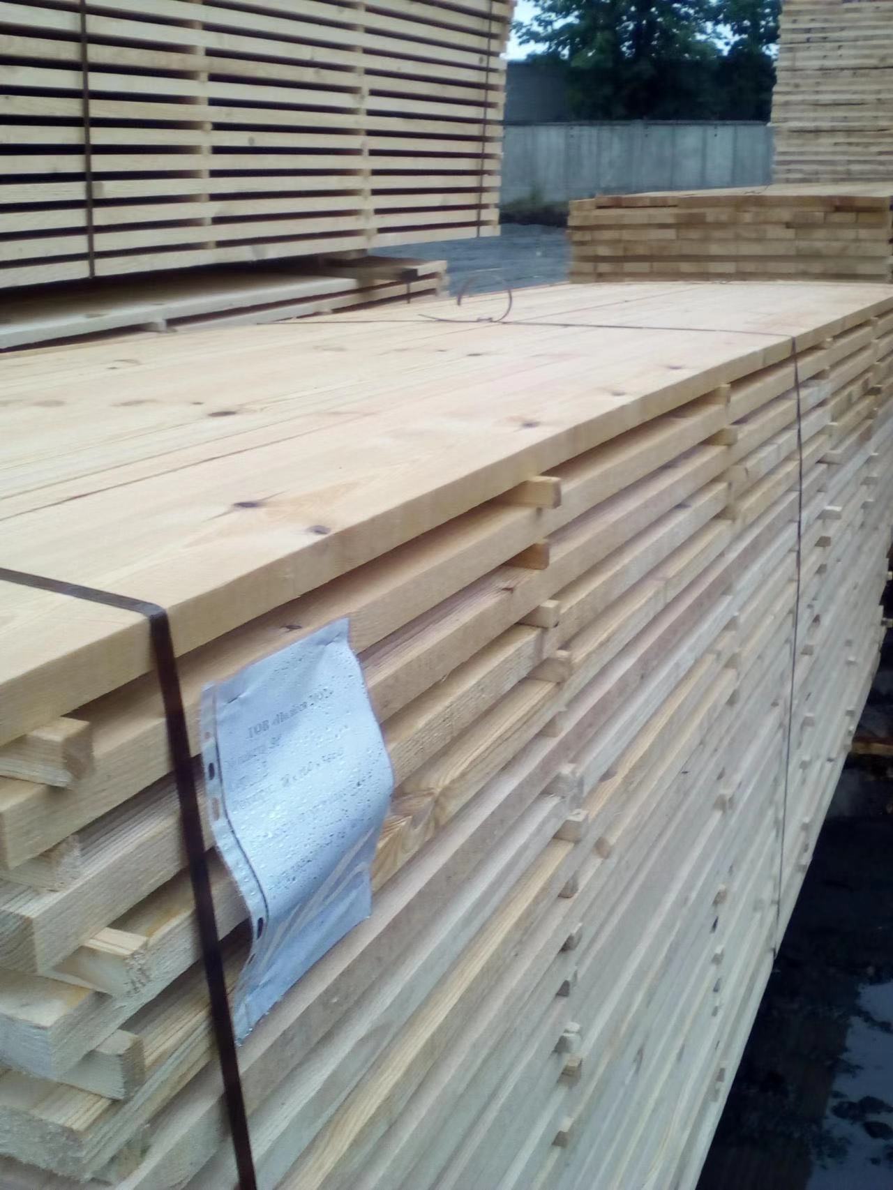 �����ɵ�Ԕ����B