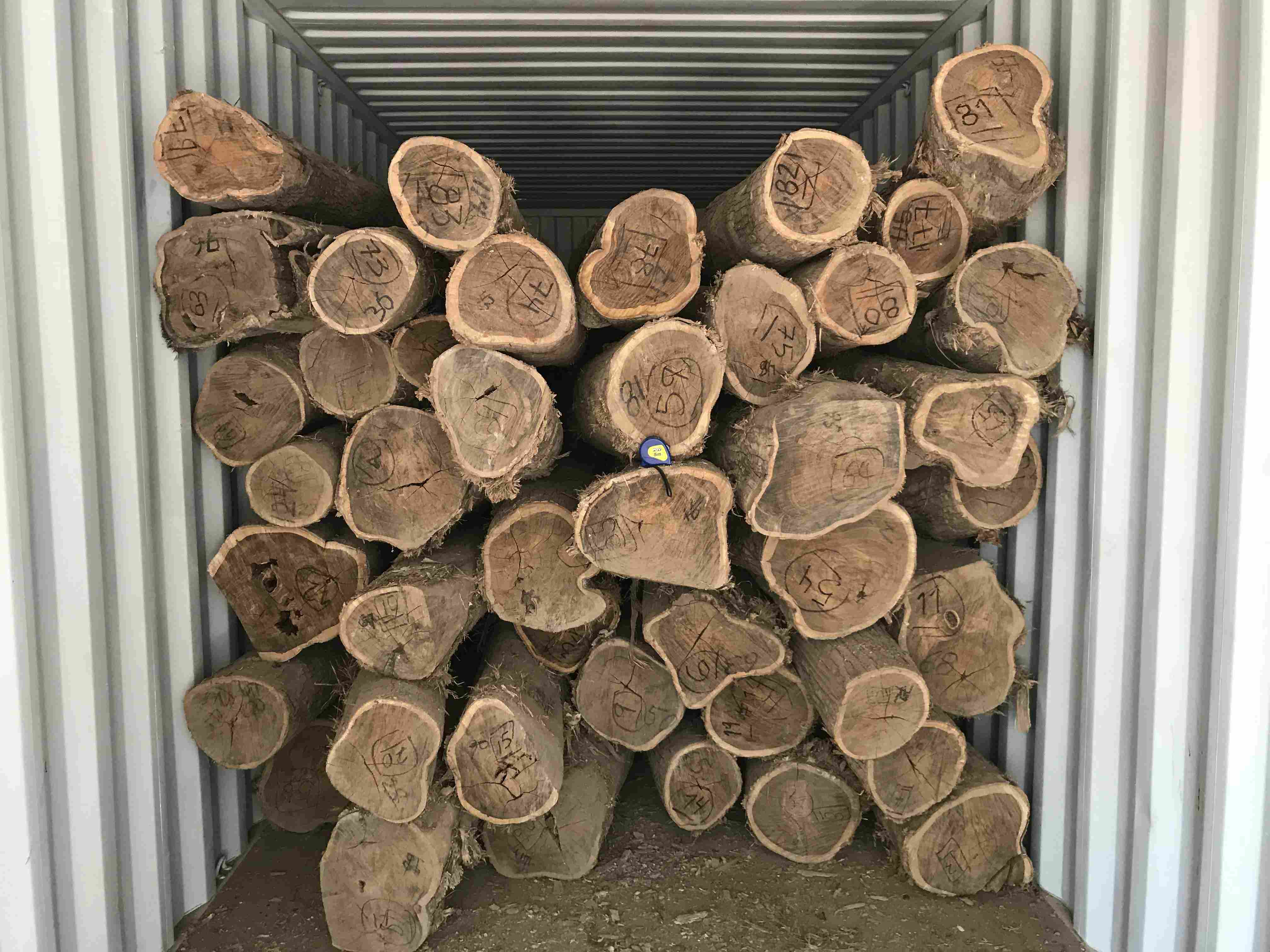 ī�����S��̴��Ԕ��(x��)��B