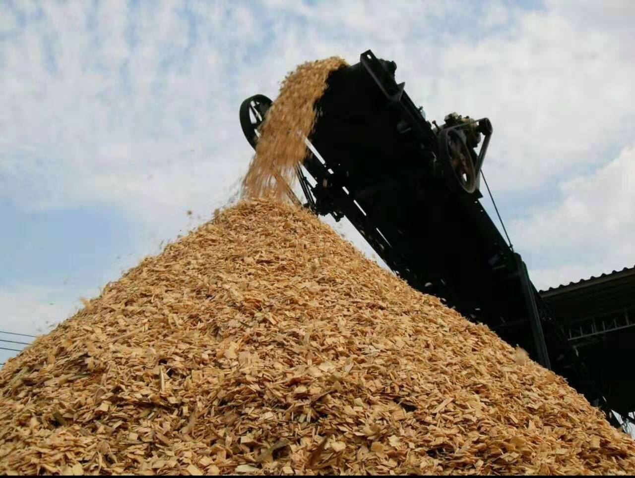 ľƬ��Ԕ����B