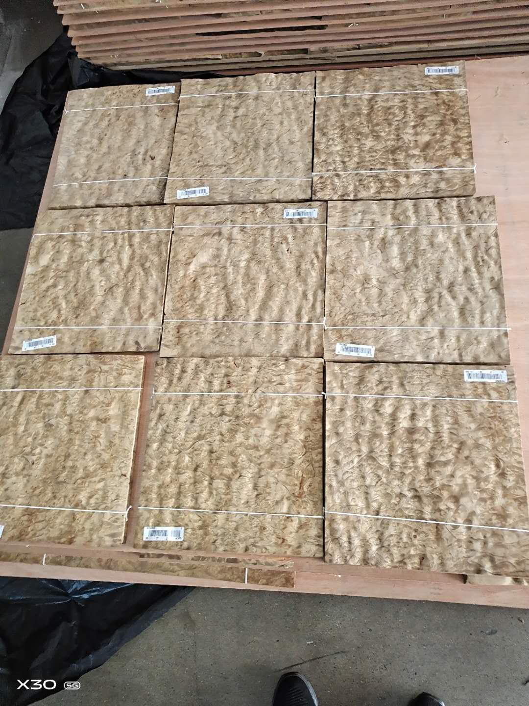 ɽ��������Ԕ����B