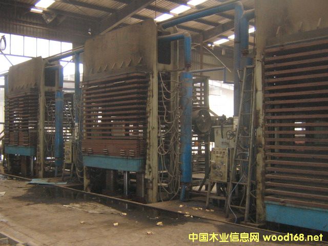 20��Ԕ����B