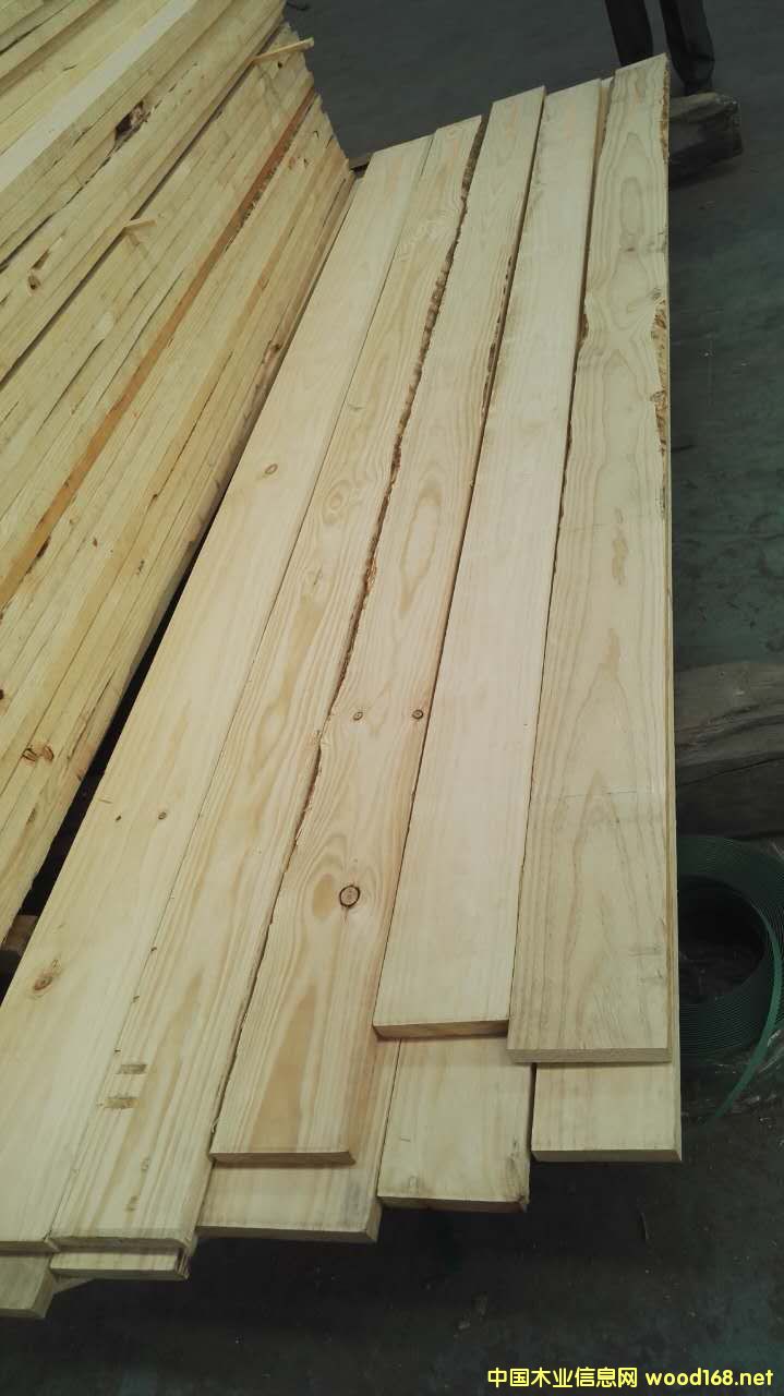 ARAUCO�̵������Ԕ����B