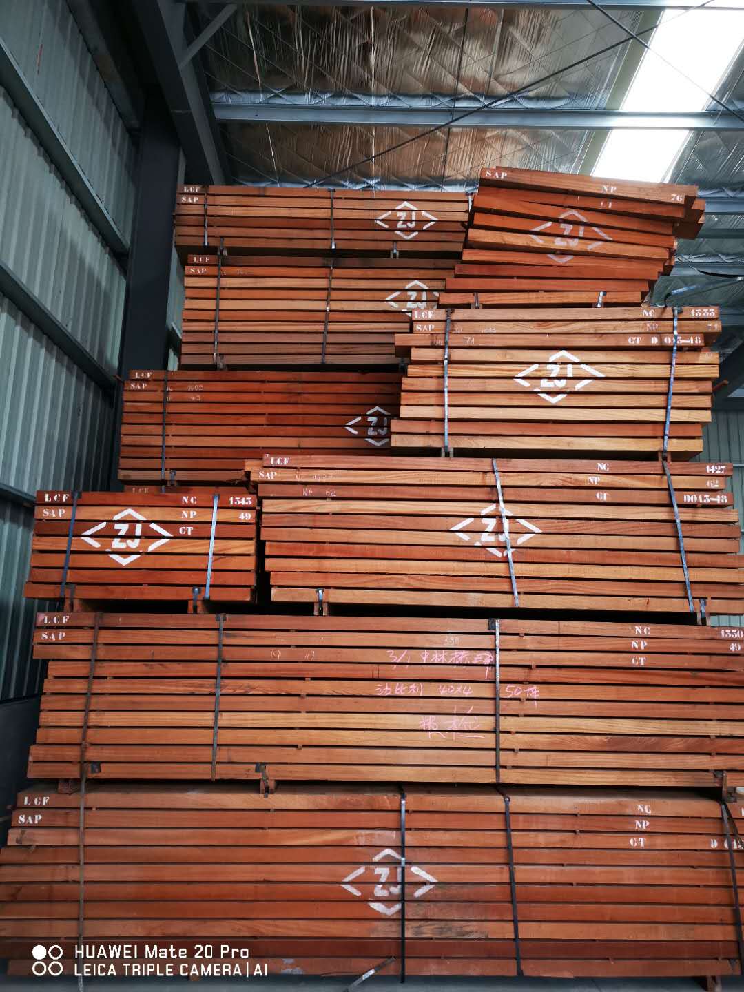 ɳ����7����