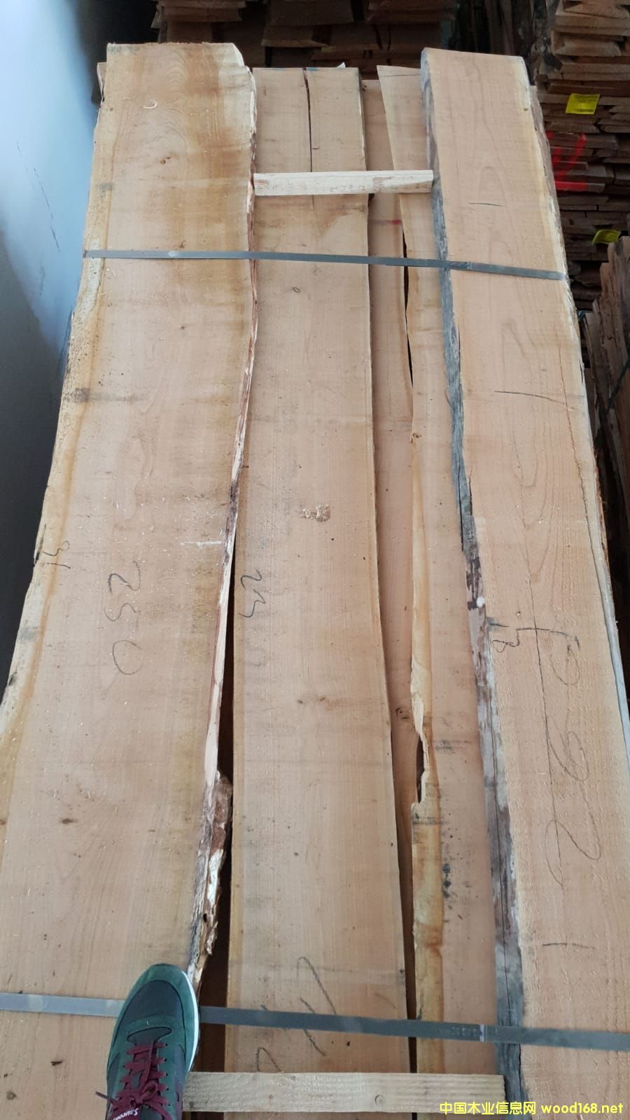 �W�ޙ���ë߅��ĵ�Ԕ��(x��)��B