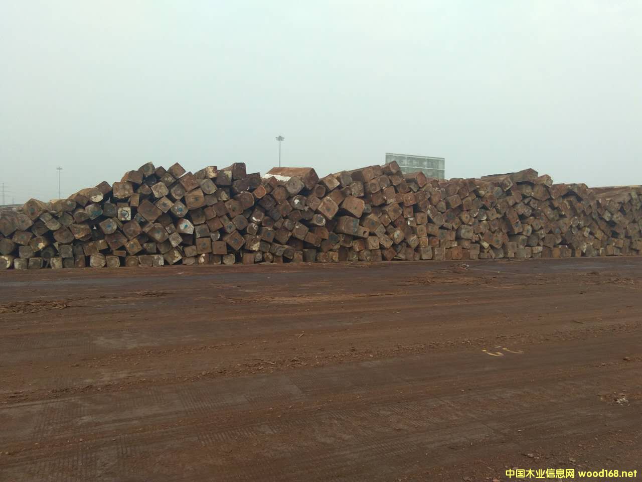 ���~���揈�Ҹ۬F؛��Ԕ����B