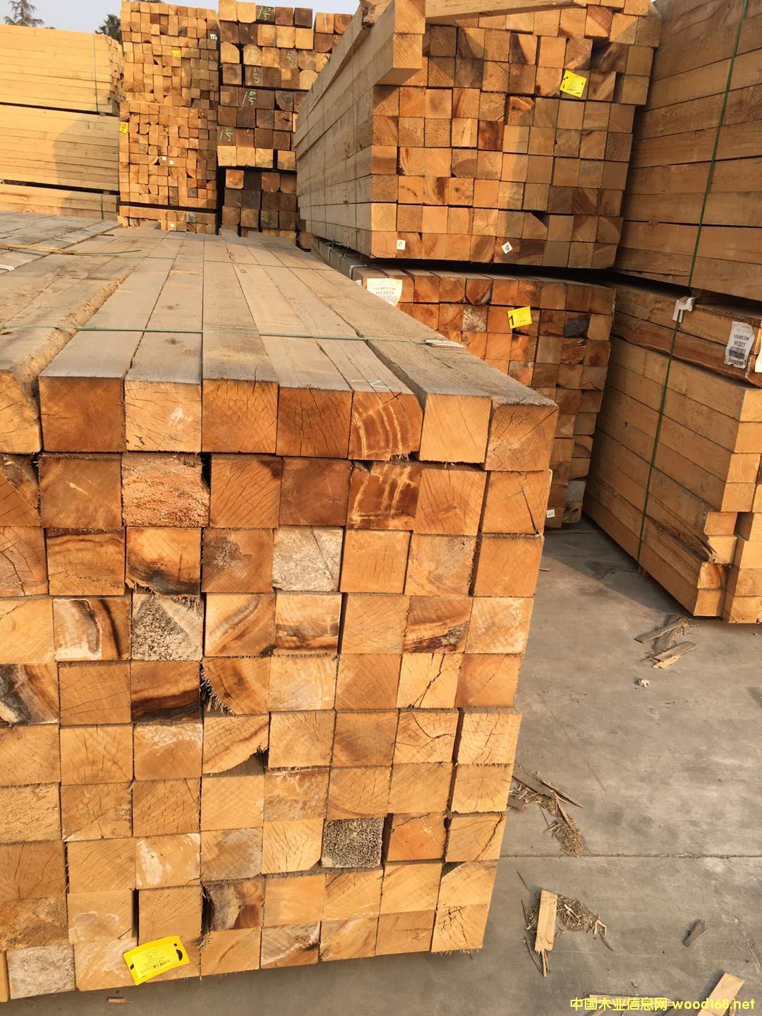 �Fɼ����108*108��Ԕ����B