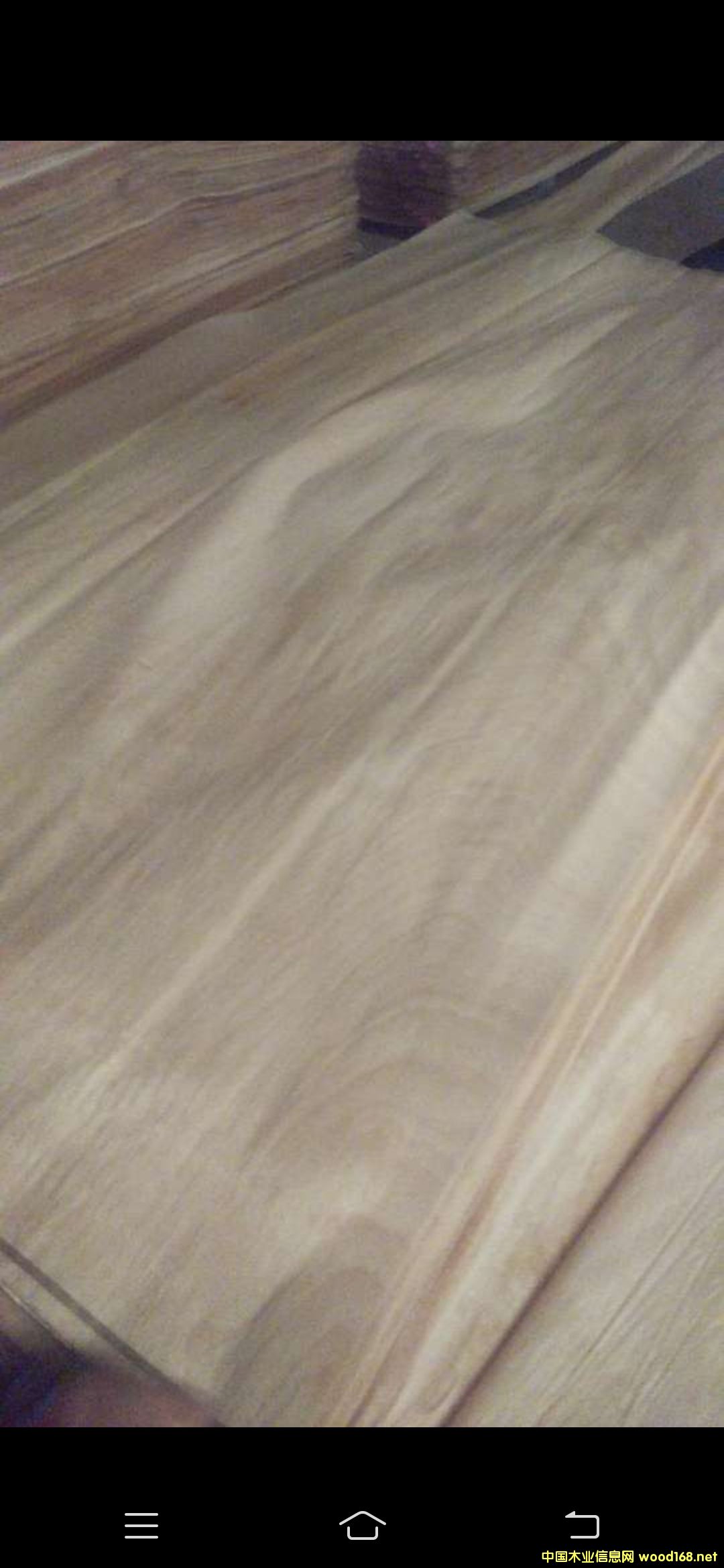 �t�ϙ��Ԕ����B