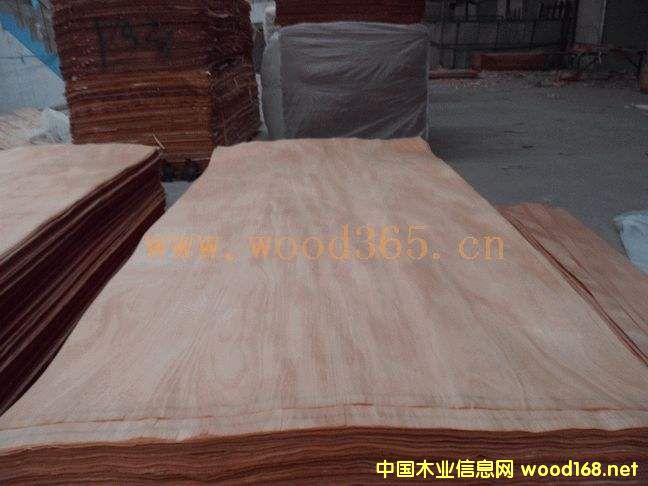 �t�ϙ��Ԕ����B