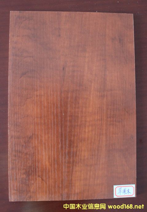 ���B(t��i)��-�O��ľ��Ԕ����B