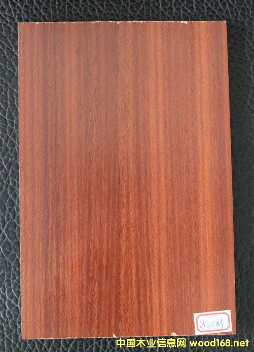 ���B(t��i)��-ɳ������Ԕ����B