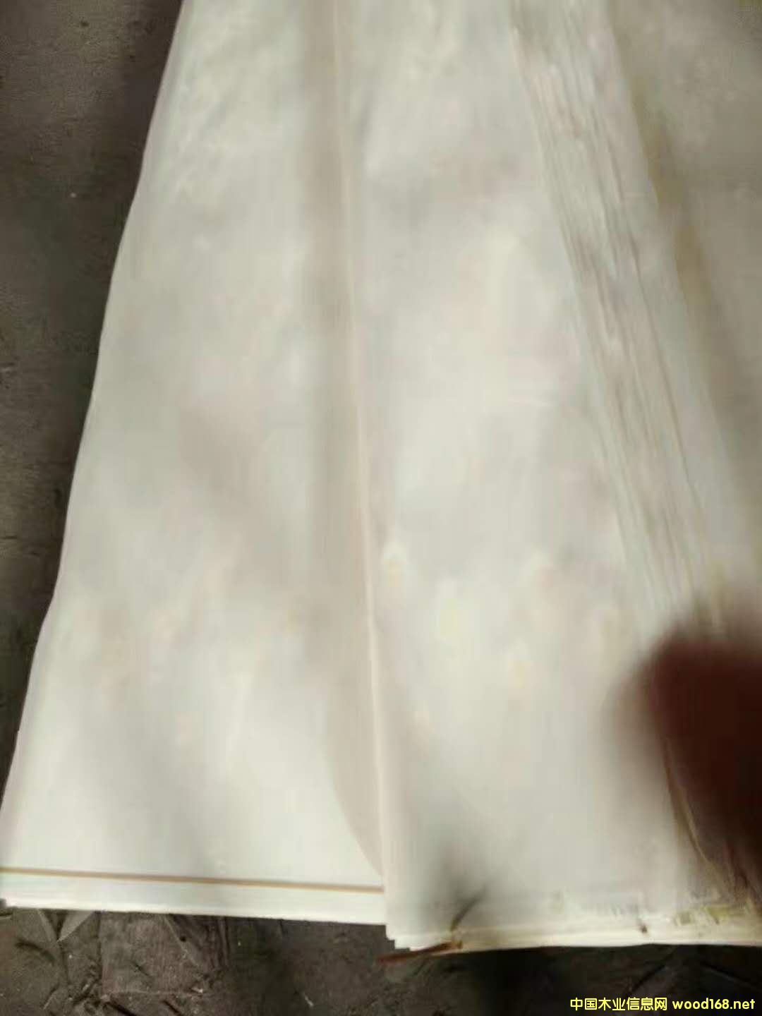 ��ľƯ�׵�Ԕ����B