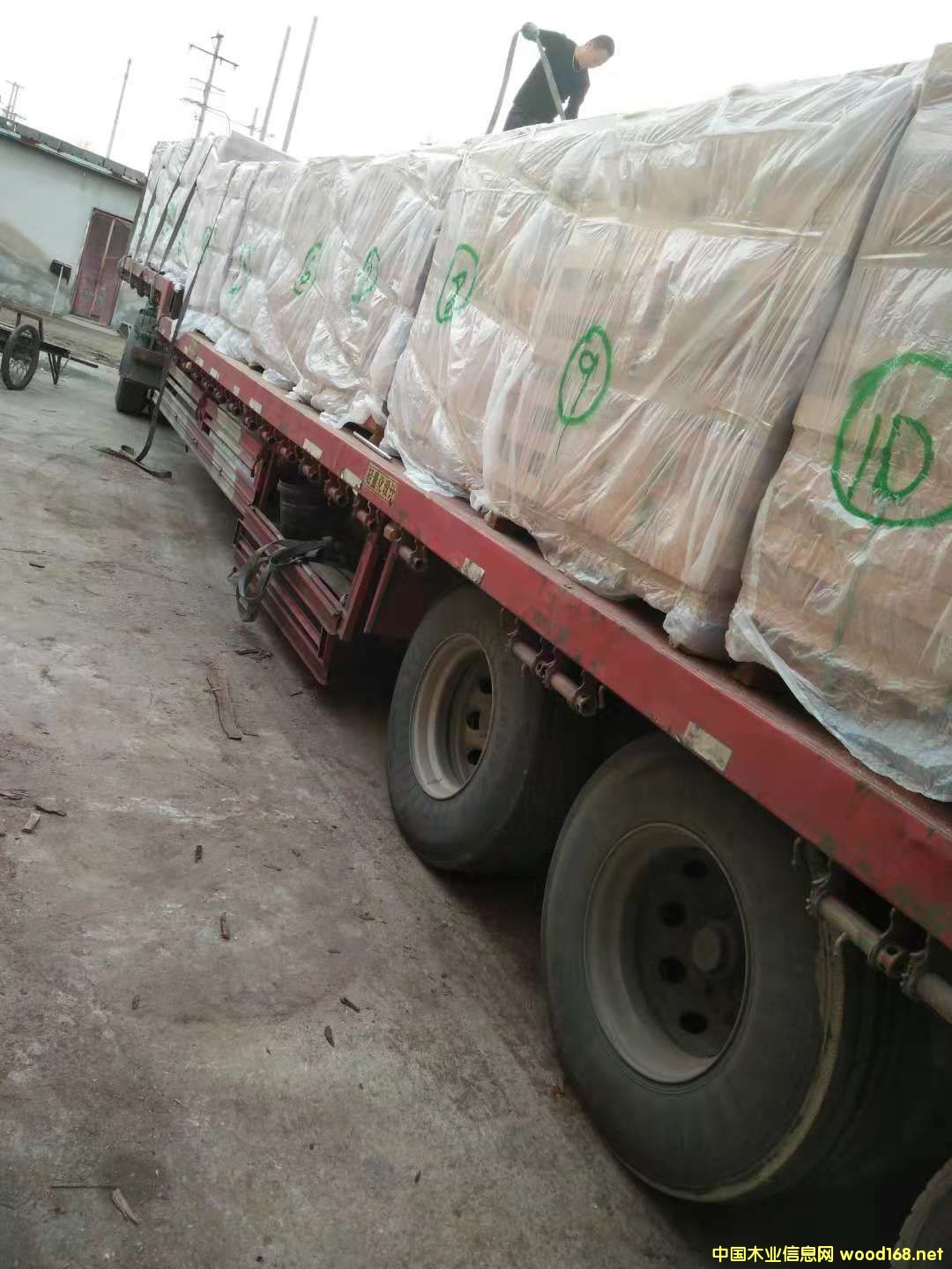 ɳ����������