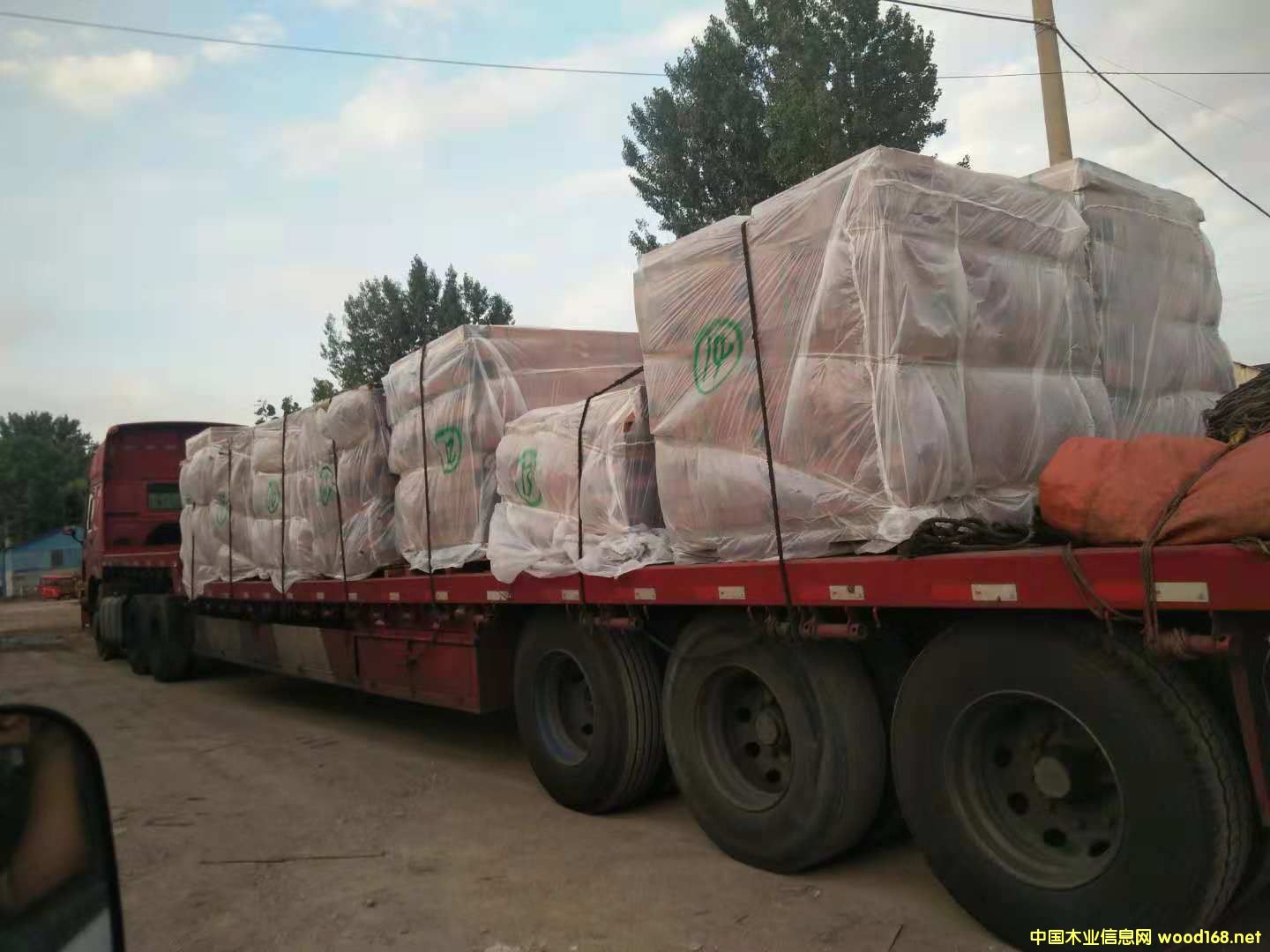 ɳ���������ϵ�Ԕ����B