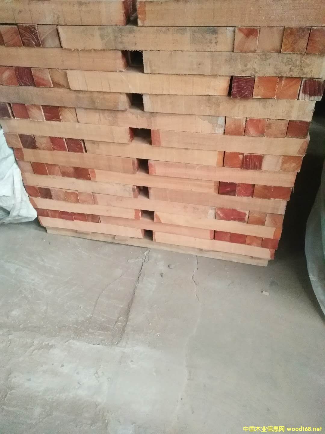 ɳ����������