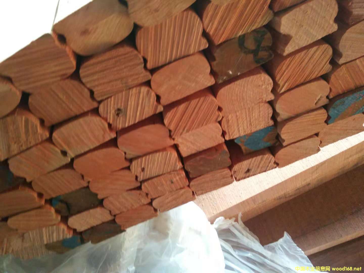 ɳ����������