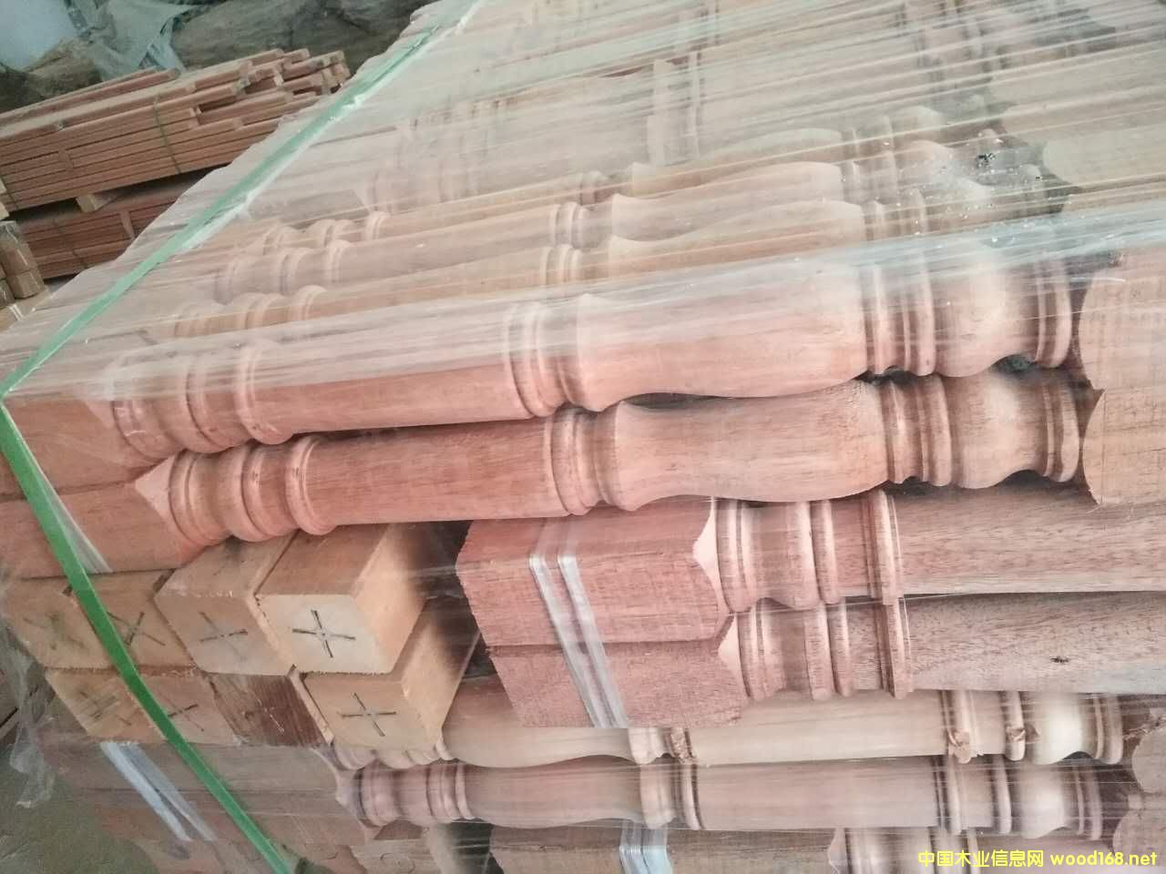 ɳ����������