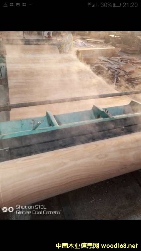 ���ε�Ԕ����B