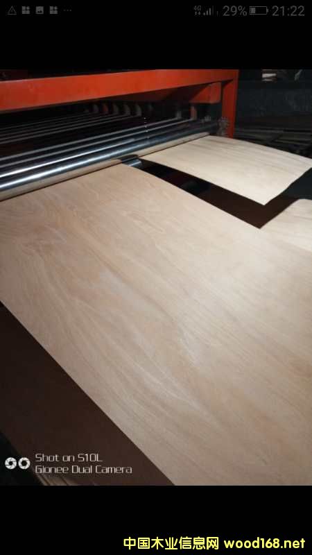 Ԕ���Ԓ��ԃ��Ԕ����B