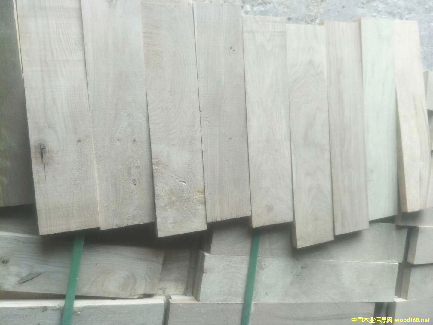 ���ڵذ�����