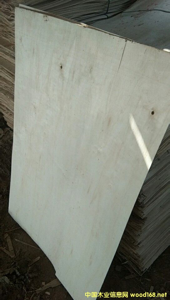  ���Kʡ�������S�h�Z��ľ�I���L�ڹ�����ľƤ��