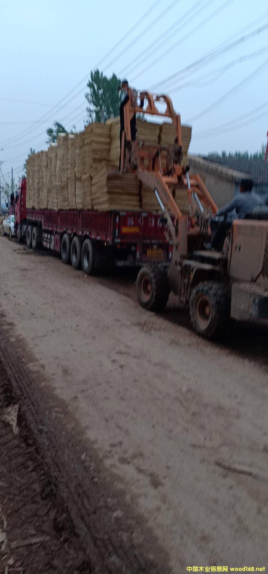 ��ľ��ƴ��Ԕ����B