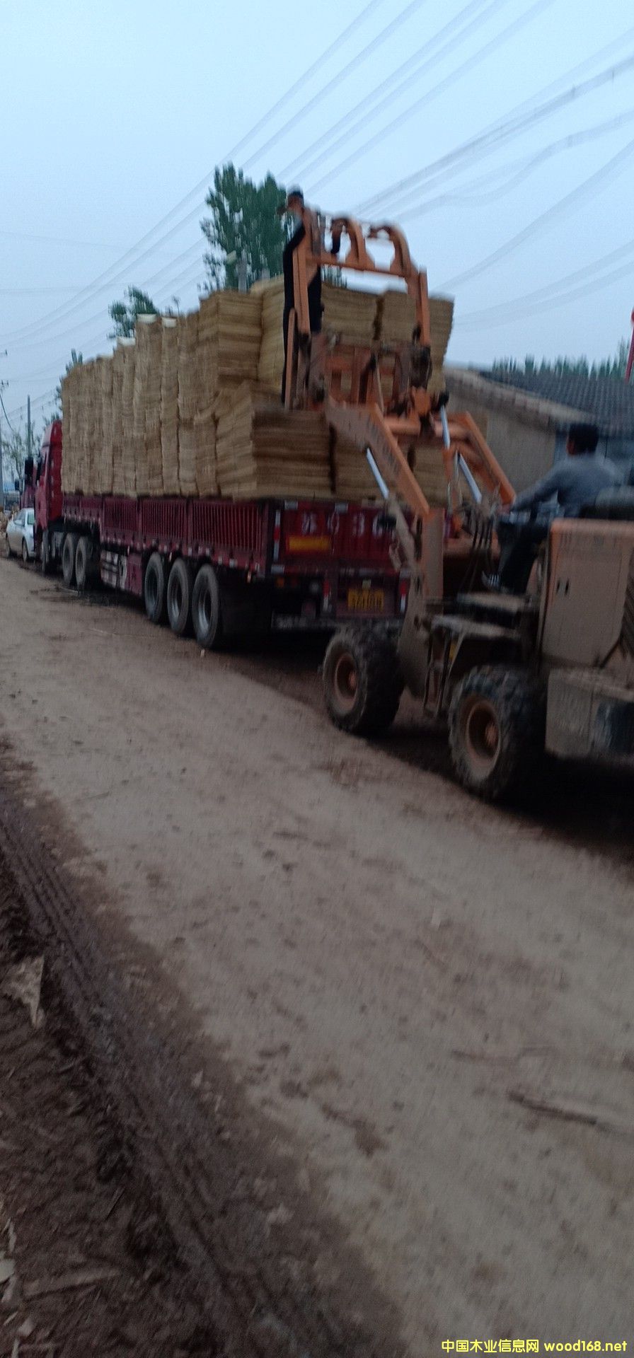 ��ƴ���Ԕ����B