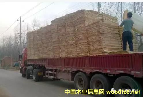 ��ľƤ�ӵ�Ԕ����B