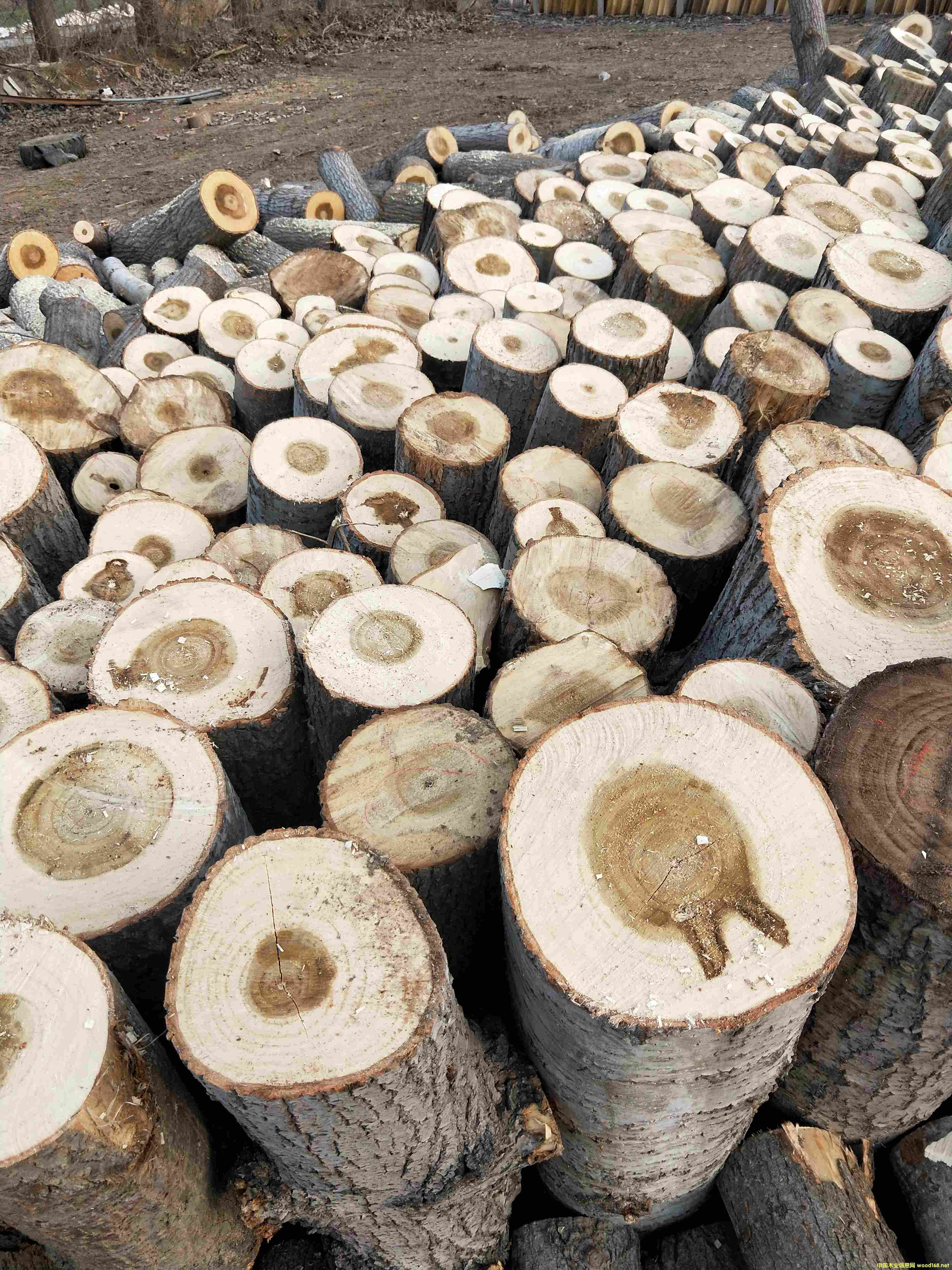 ��ľƤ��Ԕ����B