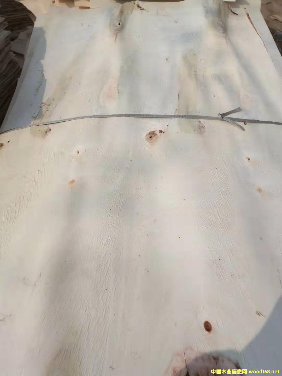 ��ľƤ��Ԕ����B