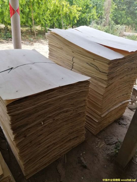 �S�h�΅R�S��ľƤ