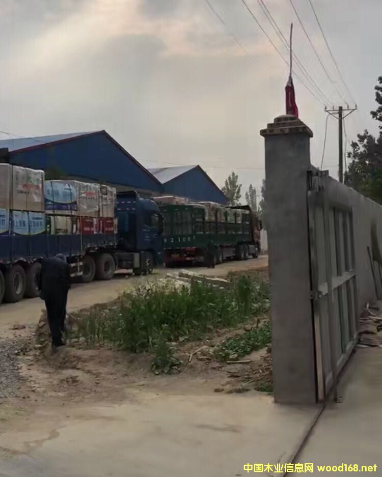 ʢ����ĵ�Ԕ����B