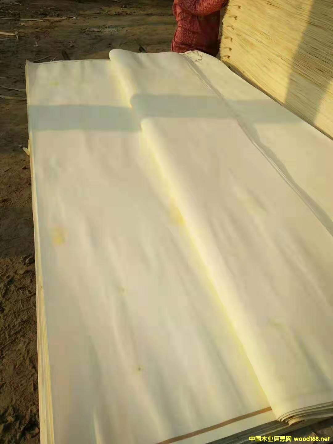 ��ľƯ�׵�Ԕ��(x��)��B