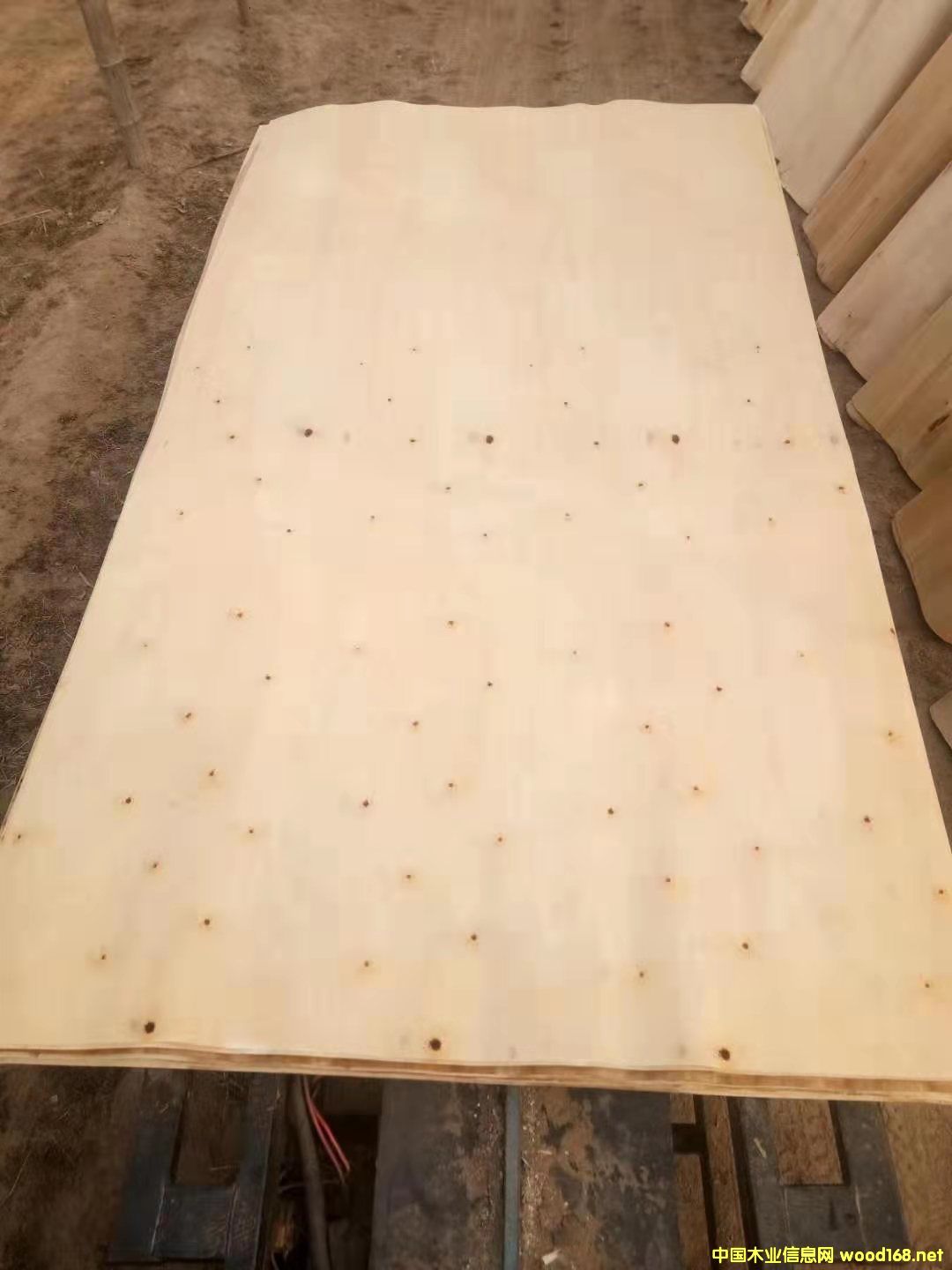 ��ľƯ�׵�Ԕ��(x��)��B