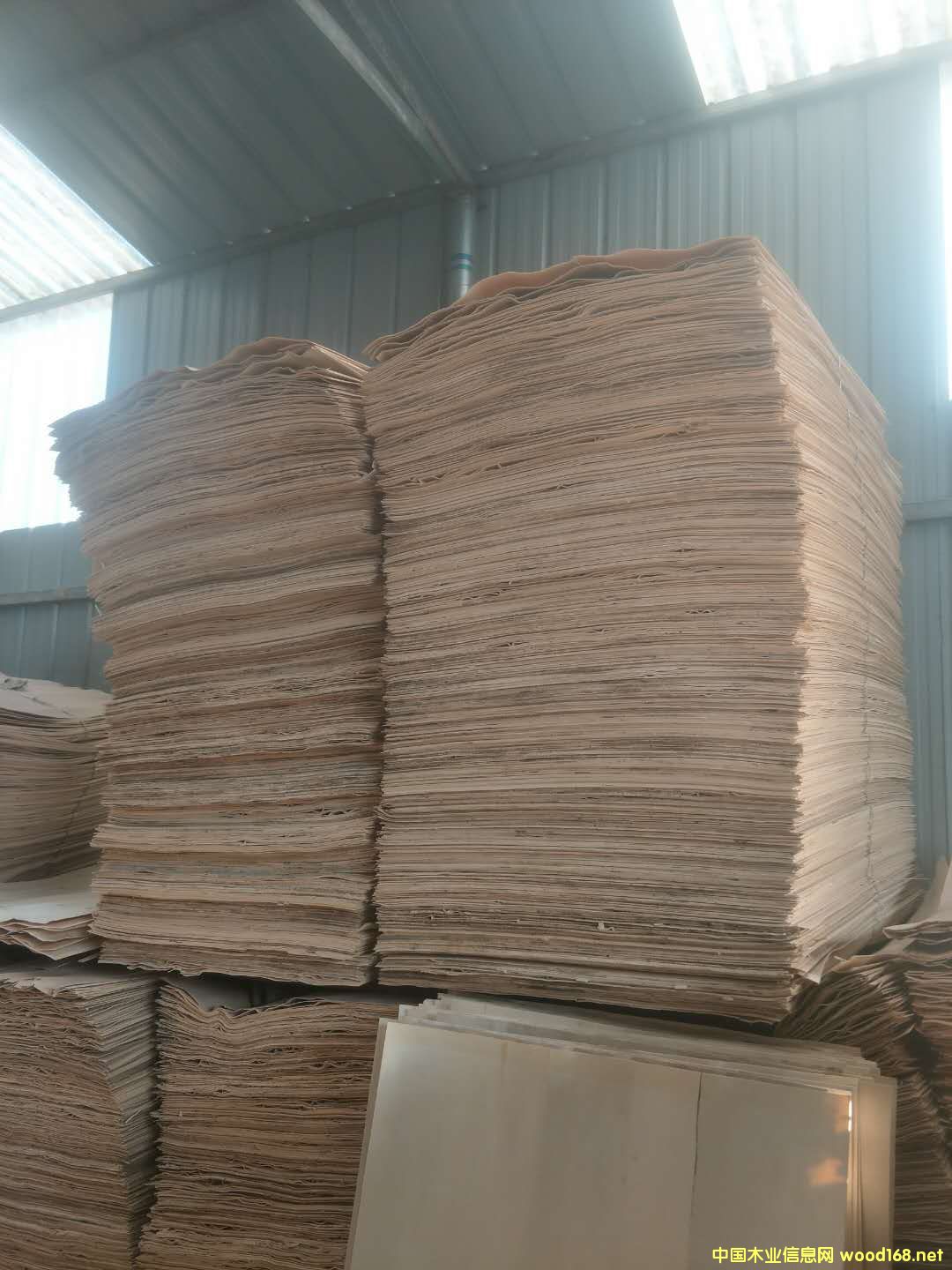 �����o��Ԕ����B