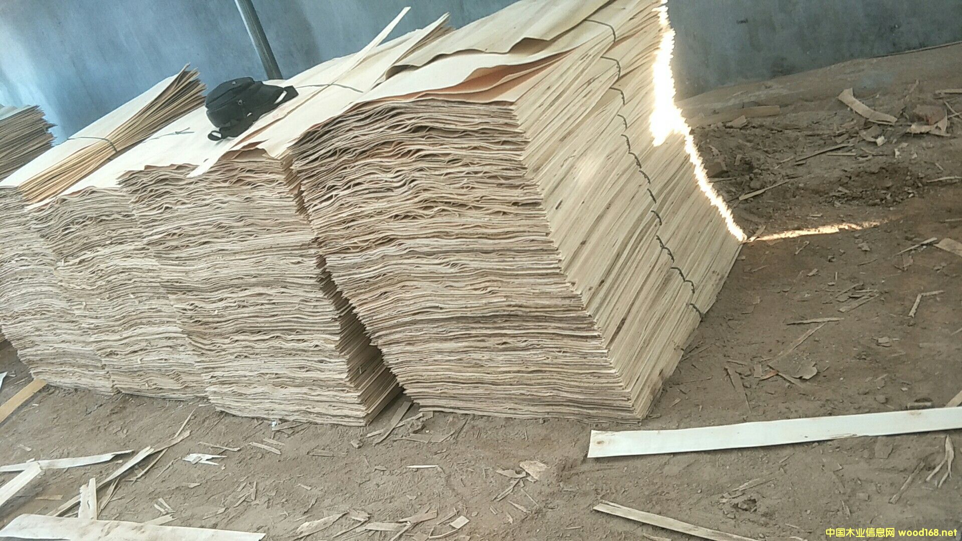 ������ĺû켉��Ԕ����B