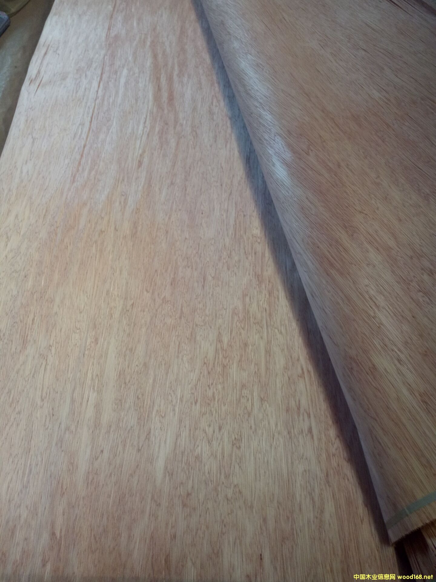 ���ǹ���Ƥ��Ԕ����B