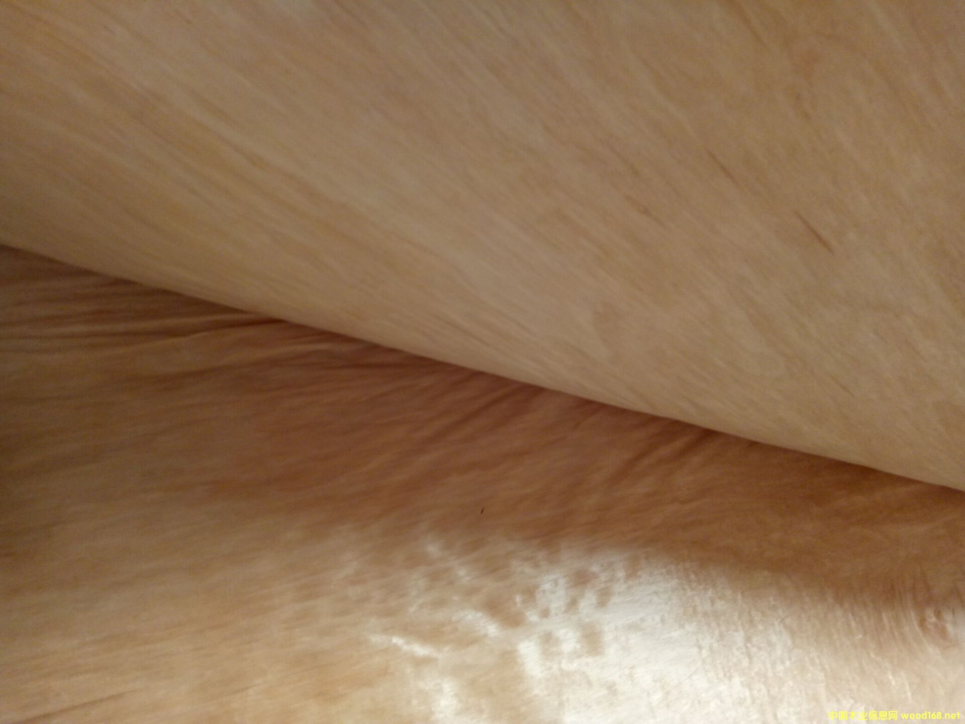 �sľ��Ƥ��Ԕ����B