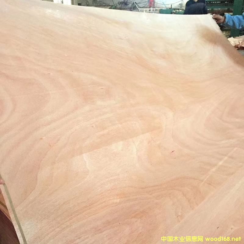 �һ�о��Ƥ��Ԕ����B