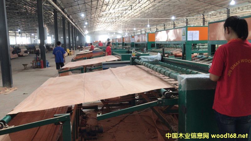  ��Ԕ����B