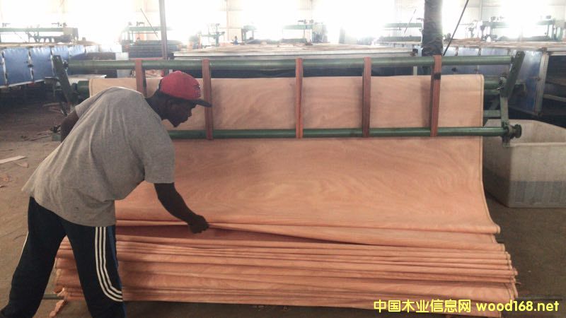  ��Ԕ����B