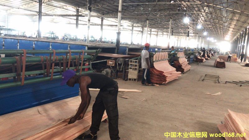  ��Ԕ����B