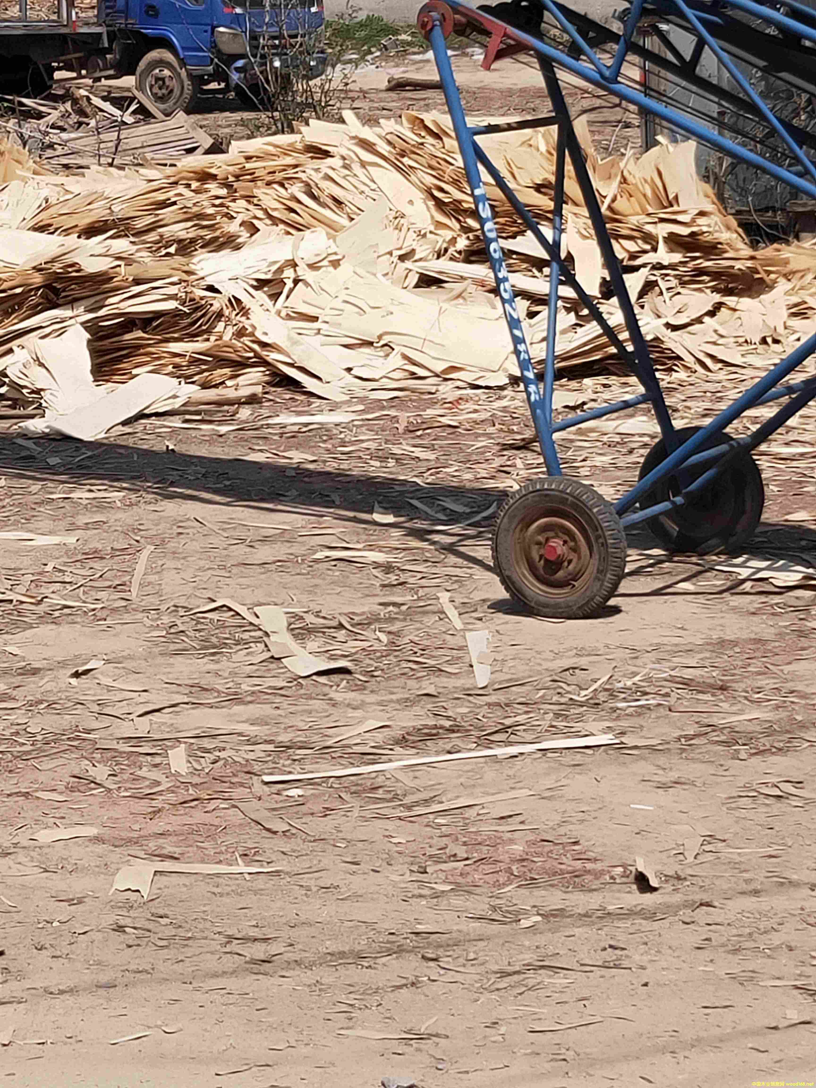 ��ľëƤ��Ԕ����B