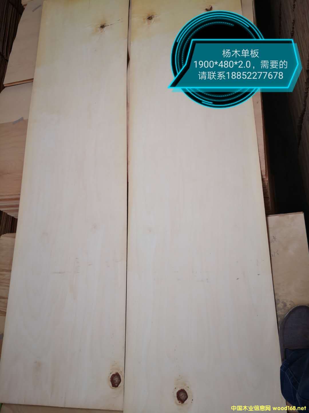 ��ľ�ΰ��Ԕ����B