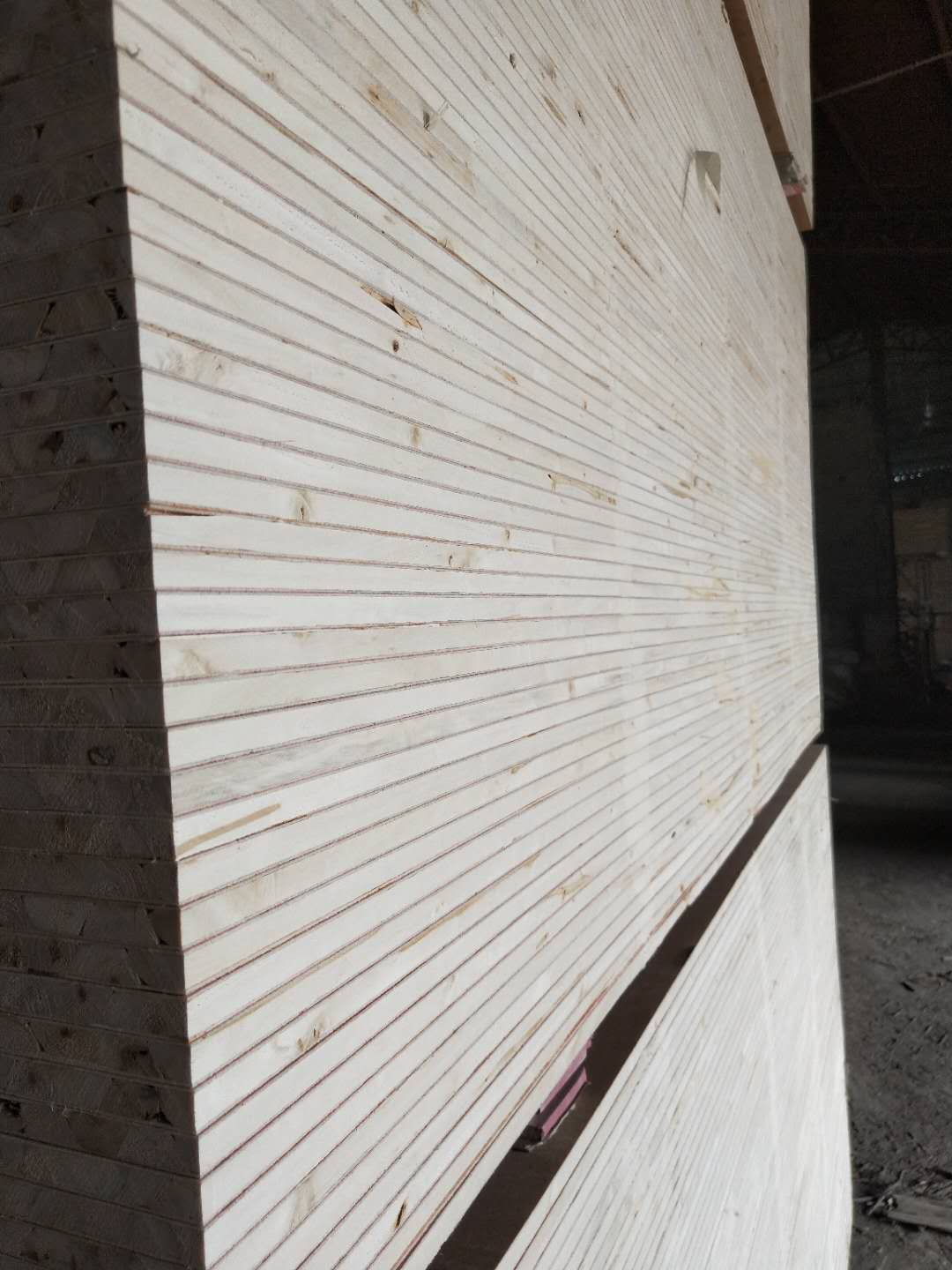 ��ĵ�Ԕ����B