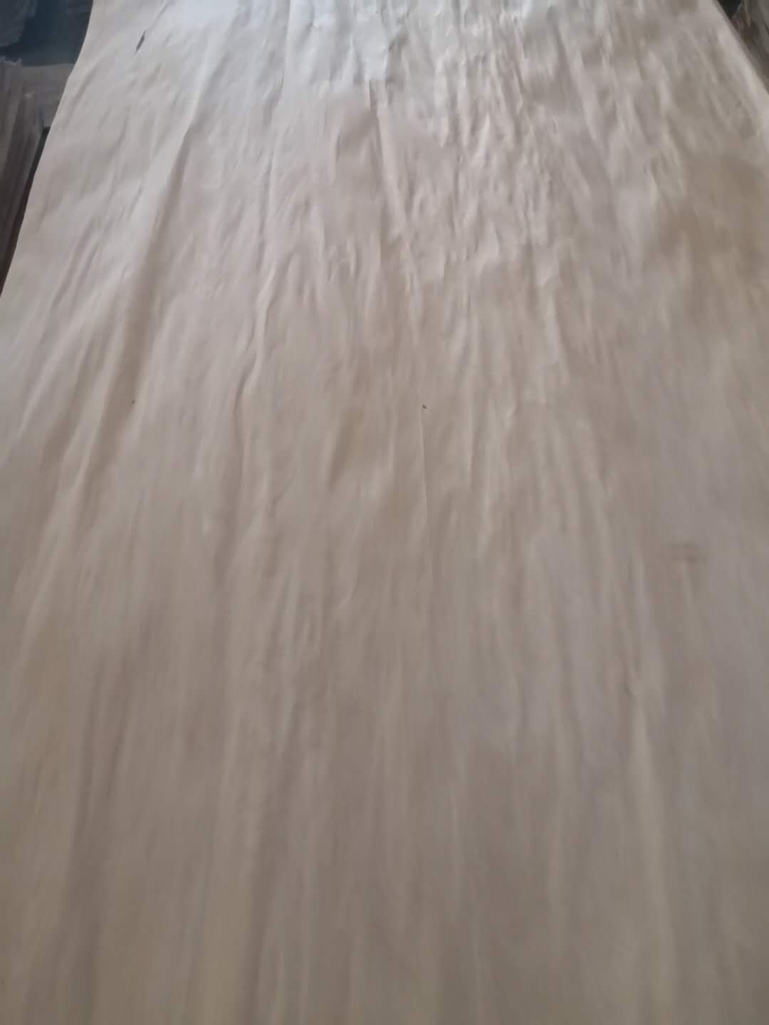 ��ľ��Ƥ��Ԕ����B